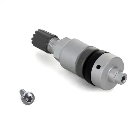 10x CARIPAR Ventil SILBER f&uuml;r Reifendrucksensor Radsensor Metallventil TPMS RDKS