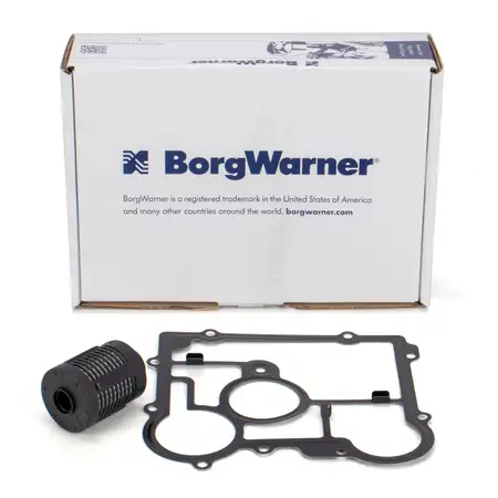 BORGWARNER DS2006273 &Ouml;lfilter + Dichtung Ausgleichsgetriebe OPEL Insignia hinten 20986573