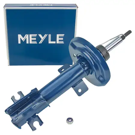 MEYLE 2266230019 Sto&szlig;d&auml;mpfer Federbein FIAT Bravo 2 LANCIA Delta 3 vorne 50708892