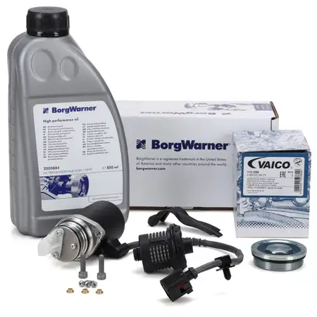 BORGWARNER Pumpe Haldex Vorladepumpe VAICO &Ouml;lfilter + 850ml &Ouml;l VW Multivan Transporter T5