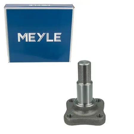 MEYLE 16145010000 Achsschenkel Radaufh&auml;ngung RENAULT Clio 2 DACIA Logan hinten 8200217106