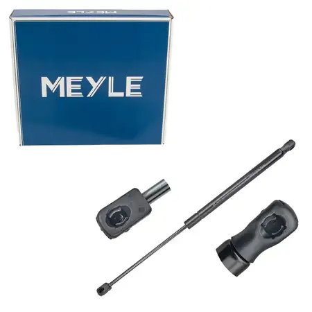 MEYLE 16-409100041 Heckklappend&auml;mpfer D&auml;mpfer Heck RENAULT Megane 3 Grandtour 844300009R