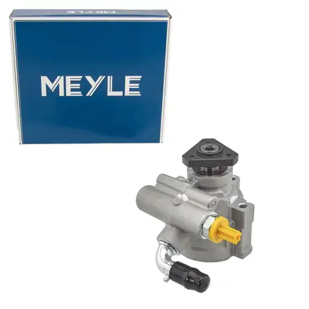 MEYLE Hydraulikpumpe Lenkung RENAULT Clio 2 Kangoo DACIA Logan Sandero 1.2 7700419118