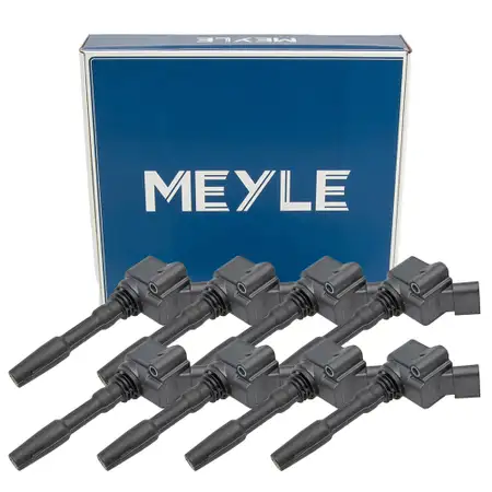 8x MEYLE Z&uuml;ndspule AUDI RS6 (C8) RS7 (4K) A8 S8 (4N) SQ7 SQ8 RSQ8 (4M) 06H905110P