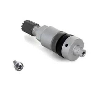 10x CARIPAR Ventil SILBER für Reifendrucksensor Radsensor Metallventil TPMS RDKS