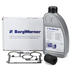 BORGWARNER Ölfilter für Haldexkupplung + 850ml BORGWARNER Getriebeöl OPEL Insignia A B