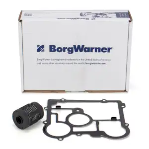 BORGWARNER DS2006273 Ölfilter + Dichtung Ausgleichsgetriebe OPEL Insignia hinten 20986573