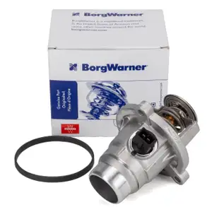 BORGWARNER Thermostat BMW F22 F87 F30 F80 F32 F33 E60 E61 F10 E63 X3 G01 F97 N62 N63 S63