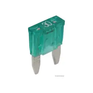 10x HERTH+BUSS ELPARTS Sicherung MINI-Flachstecksicherung 30A bis 32V GRÜN