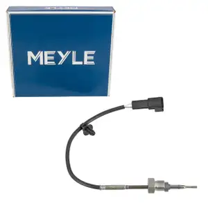 MEYLE Abgastemperatursensor FORD Transit V363 Tourneo / Transit Custom V362 2.0 EcoBlue