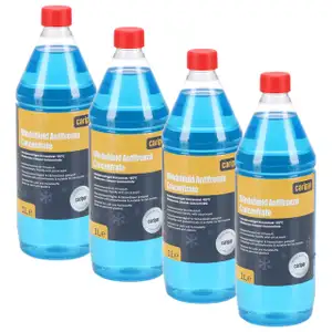 4L 4 Liter CARIPAR WINDSHIELD ANTIFREEZE Scheiben Frostschutz Konzentrat Citrusduft -60°C