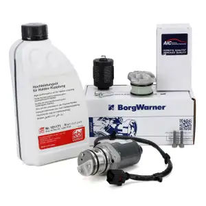 BORGWARNER Pumpe Haldex Vorladepumpe + Ölfilter + 1L FEBI Öl VW Golf 6 Passat B7 T5 A3 Q3