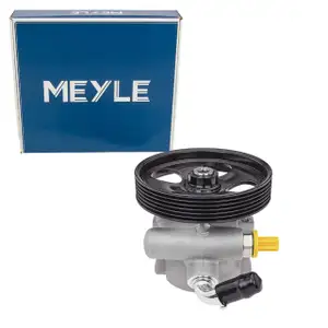 MEYLE 11-146310014 Hydraulikpumpe Lenkung CITROEN Nemo PEUGEOT Bipper 1.4 HDi 4007.TC