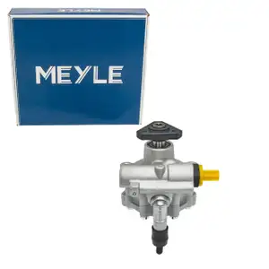 MEYLE 16-166310001 Hydraulikpumpe Lenkung DACIA Logan 2 Sandero 2 1.2 1.5 dCi 491101451R