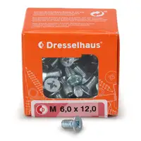 100x DRESSELHAUS Schraube Bremsscheibe M6x12mm für PORSCHE 90026904701