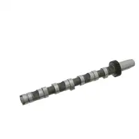 FEBI 26976 Nockenwelle AUDI A4 B5 B6 A6 C5 A8 D2 VW Passat B5 SKODA Superb 2.5 TDI links