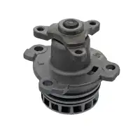 FEBI 34269 Wasserpumpe WaPu RENAULT Laguna Megane Scenic NISSAN Qashqai X-Trail 2.0 dCi