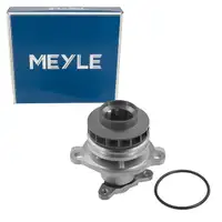 MEYLE Wasserpumpe OPEL Movano B RENAULT Megane 2 3 Scenic 2 3 NISSAN NV400 X-Trail 2 3