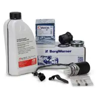 BORGWARNER Haldex Pumpe Vorladepumpe + Ölfilter + 1L FEBI Öl VW T5 2.5 TDI 4motion