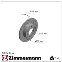 ZIMMERMANN SPORT Bremsscheiben Satz für VW BORA GOLF IV NEW BEETLE POLO hinten