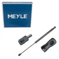 MEYLE 16-409100041 Heckklappendämpfer Dämpfer Heck RENAULT Megane 3 Grandtour 844300009R