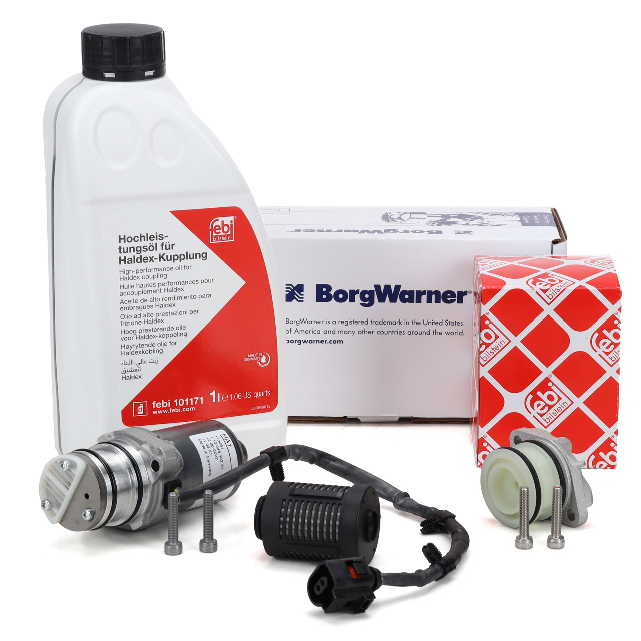 BORGWARNER Pumpe Haldex Vorladepumpe + Ölfilter + 1L FEBI Öl VW Golf 6 Passat B7 A3 Q3