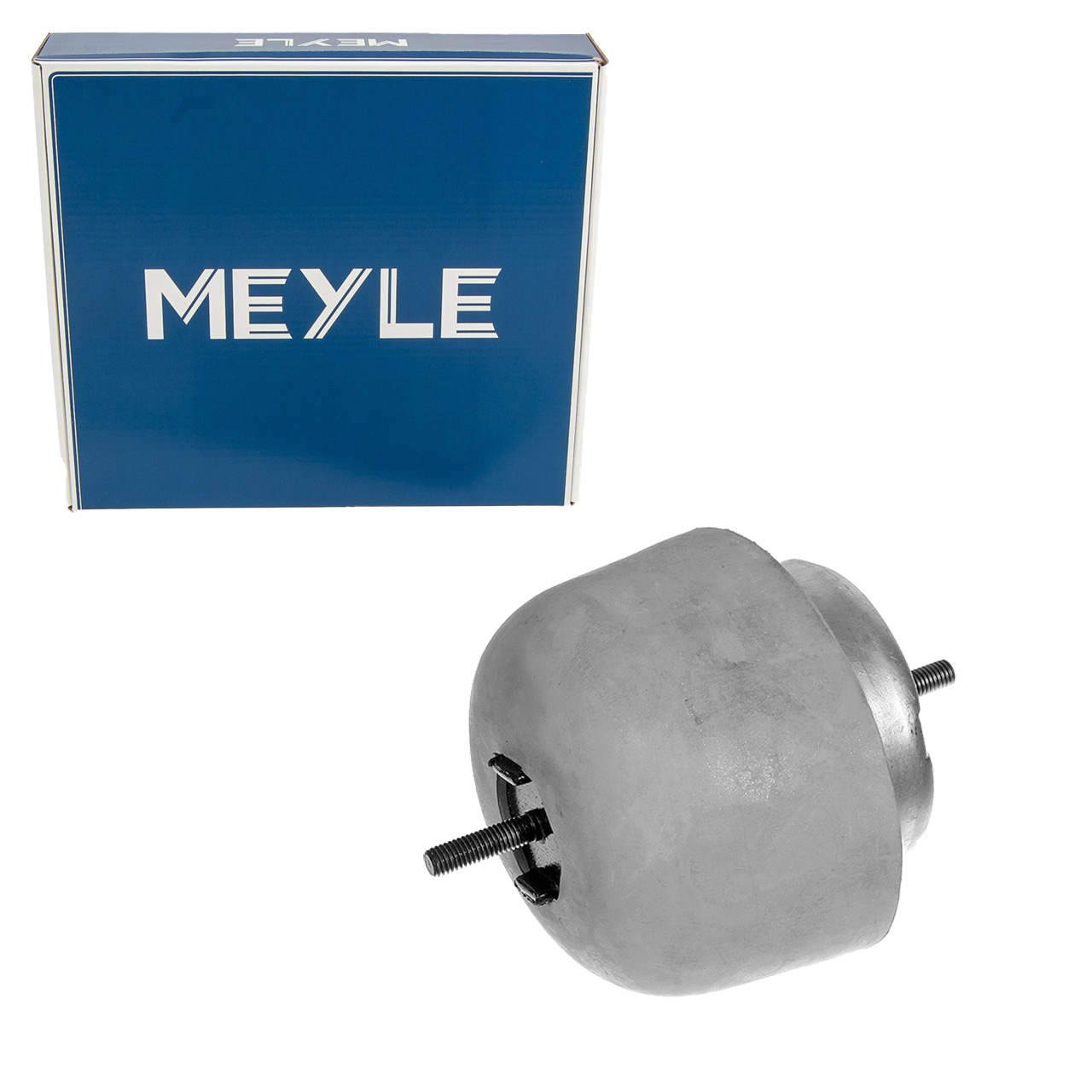 MEYLE 1001990056 Motorlager VW Passat B5 AUDI A4 B5 A5 C5 SKODA Superb vorne 8D0199379L